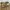 United Arrows Japan Beauty & Youth Khakis Wide Straight Fati photo 6