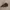 Topi Earflap Von Dutch - Winter Hat Vondutch photo 3