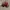 Topi Earflap Von Dutch - Winter Hat Vondutch photo 5