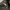 Topi Earflap Von Dutch - Winter Hat Vondutch photo 6