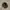 Topi Earflap Von Dutch - Winter Hat Vondutch photo 4