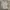 Kaos CALVIN KLEIN Branded Grey Tee TShirt | Big Size photo 2