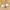 Converse 70s Low Yellow photo 7