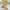 DKNY Mini Satchel Yellow Fresh  photo 4