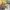 DKNY Mini Satchel Yellow Fresh  photo 5