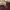 Chanel Classic Flap Burgundy Gold Hardwear photo 10