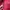 Millet Streetwear Sportswear Puffer jacket Pria burgundy red photo 4