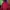 Millet Streetwear Sportswear Puffer Jacket Pria Burgundy Red