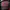 Millet Streetwear Sportswear Puffer jacket Pria burgundy red photo 5
