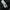 Poloshirt BOSS Blck White photo 8