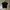 Poloshirt BOSS Blck White photo 1