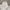 Unknown Baggy short sweatpants carpenter grey photo 7