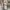 Person pack Double zipper hoodie grey photo 2