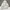 Person pack Double zipper hoodie grey photo 4