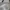 HnM TORICAS CREAM WHITE SWETAERSHIRT photo 1