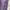 Gramicci Streetwear Belted Pants photo 10