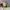 1990s Robert Alexandre Beach Panorama Art Blend Tee (M) photo 9