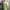 1990s Robert Alexandre Beach Panorama Art Blend Tee (M) photo 3
