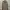 celana krem beige photo 2