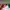 Vintage sportel colourblock Italian flag windbreaker jacket  photo 7