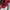 NBA x Chicago Bulls big logo all of print varsity jacket  photo 6