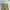 Genuine Dickies Cell Pocket Khaki photo 5