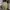Genuine Dickies Cell Pocket Khaki photo 1