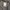 Thombrowne Cardigan Knited  photo 6