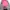 Casual Windbreaker Wanita pink gray photo 4
