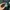 Starter big logo pullover hoodie green bottle photo 6