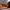 Timberland Casual Loafer Pria brown photo 8
