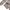 Zara Basic Studded Military Jacket photo 6