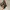 longchamp black nylon crossbody bag photo 8