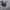 Air Force 1 Triple Black 41 photo 1