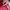 Fossil Preston Crossbody Red Original  photo 5