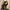 VOTUS GRAFITI RAINBOW BLUE KNITWEAR photo 5