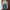 Jacket Windbreaker Hummel Cream-Green photo 8