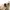 Burberry Luxury Casual Hat Pria tan photo 4