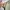 Japanese brand Vintage Casual Parka Pria tan photo 6
