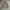 Japanese brand Vintage Casual Parka Pria tan photo 1