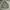 Japanese Brand Vintage Casual Parka Pria Tan