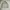 Japanese brand Vintage Casual Parka Pria tan photo 5