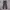 Dickies Men's Original 874 Work Pants photo 3