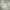 Japanese brand Sportswear Casual Parka Pria gray photo 3