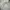 Japanese brand Sportswear Casual Parka Pria gray photo 7