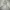 Japanese brand Sportswear Casual Parka Pria gray photo 8