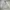 Japanese brand Sportswear Casual Parka Pria gray photo 2