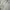 Japanese brand Sportswear Casual Parka Pria gray photo 6