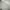 Japanese brand Sportswear Casual Parka Pria gray photo 5