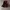Leather Jackets Goth Y2k photo 1